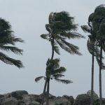 climate-photo-3