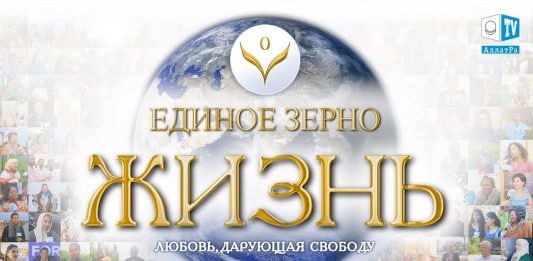 Единое зерно